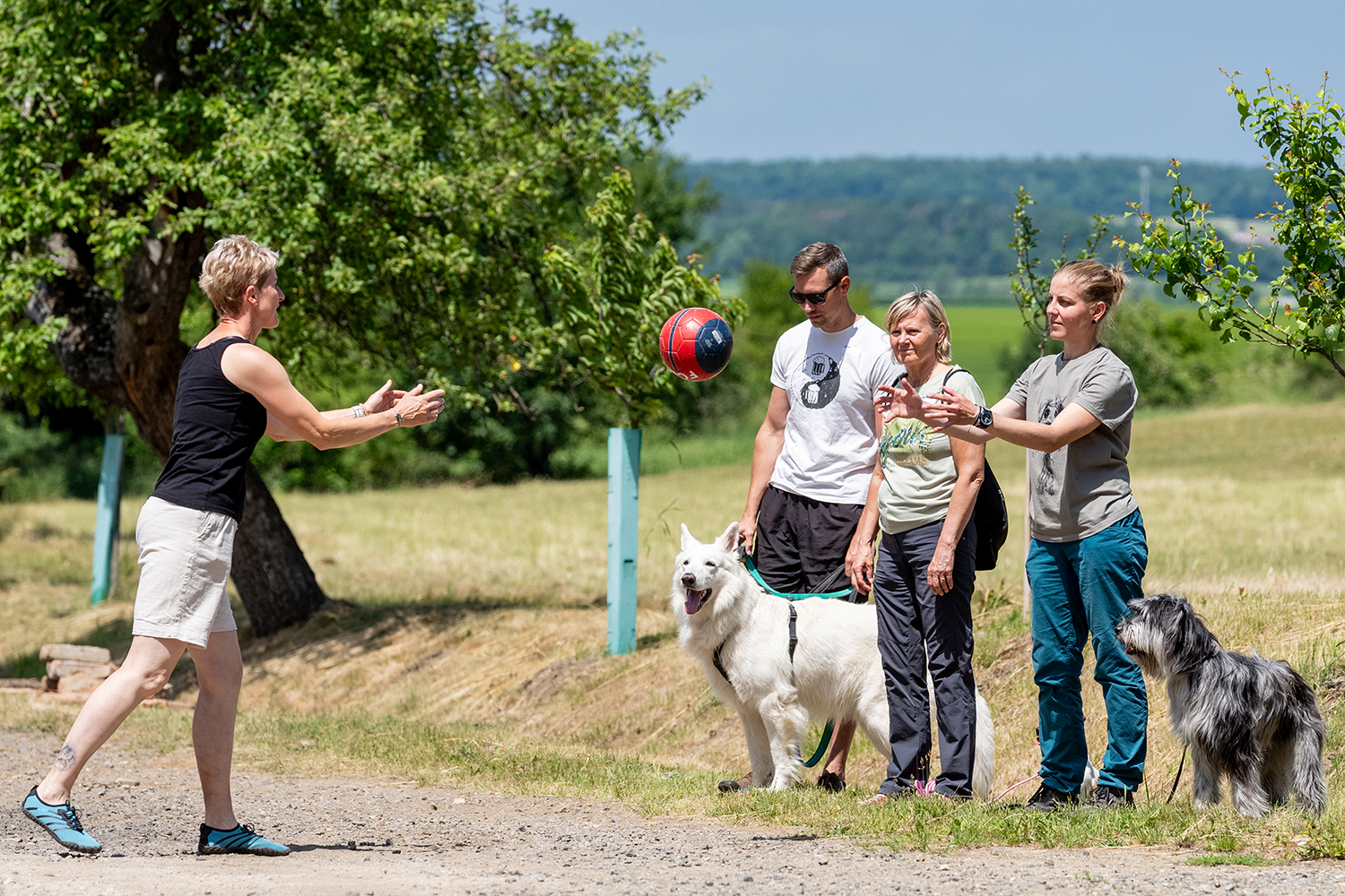 fotografieMBF09723